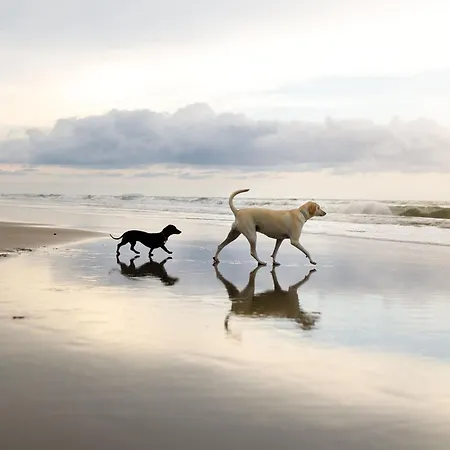 Holiday home The Cosy Retreat - Part Of The The Bay Village With Pool, Gym And Direct Access, Pub, Restaurant, Tennis And Meadows Walks Filey